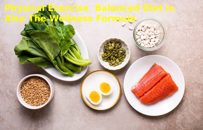 Physical Exercise  Balanced Diet Is Also The Wellness Formula