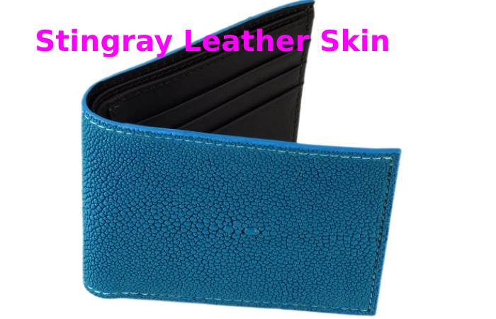 Stingray Leather Skin