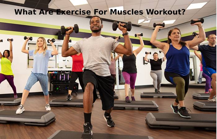 What Are Exercise For Muscles Workout_