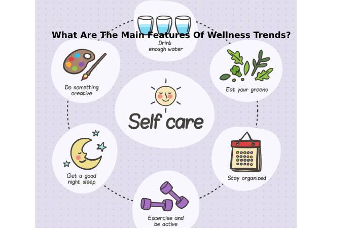 What Are The Main Features Of Wellness Trends_