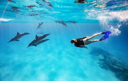 Maafushi Naufragio Y Esnórquel Con Tiburones Nodriza Con Observación De Delfines
